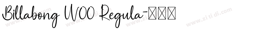 Billabong W00 Regula字体转换